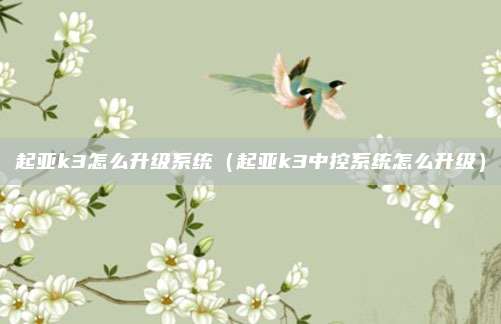 起亚k3怎么升级系统（起亚k3中控系统怎么升级）