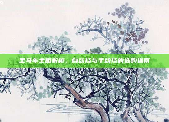 宝马车全面解析,自动挡与手动挡的选购指南
