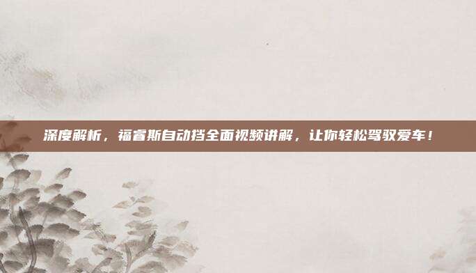 深度解析,福睿斯自动挡全面视频讲解,让你轻松驾驭爱车!