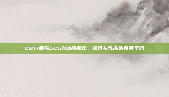 2017宝马525li油耗揭秘,经济与性能的完美平衡