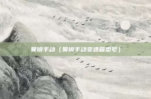 昊锐手动（昊锐手动变速箱型号）
