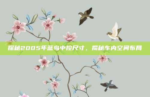 探秘2005年蓝鸟中控尺寸,揭秘车内空间布局