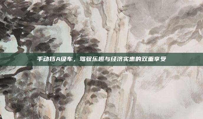 手动挡A级车,驾驭乐趣与经济实惠的双重享受