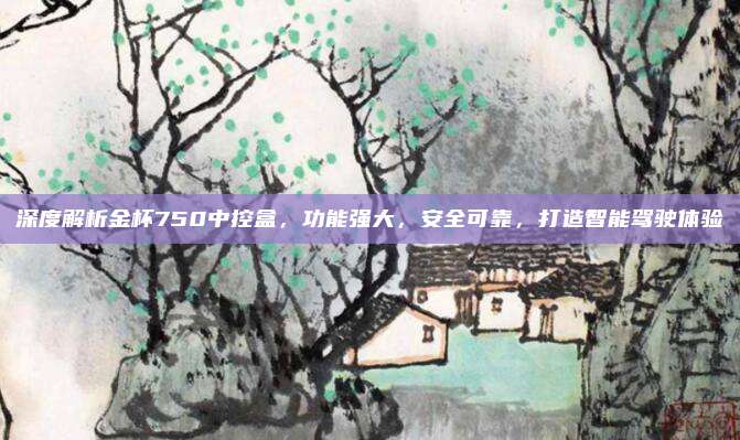 深度解析金杯750中控盒,功能强大,安全可靠,打造智能驾驶体验