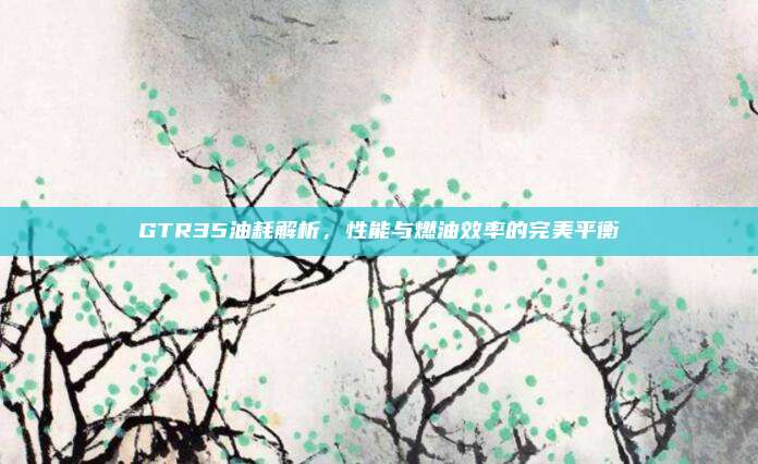 GTR35油耗解析,性能与燃油效率的完美平衡