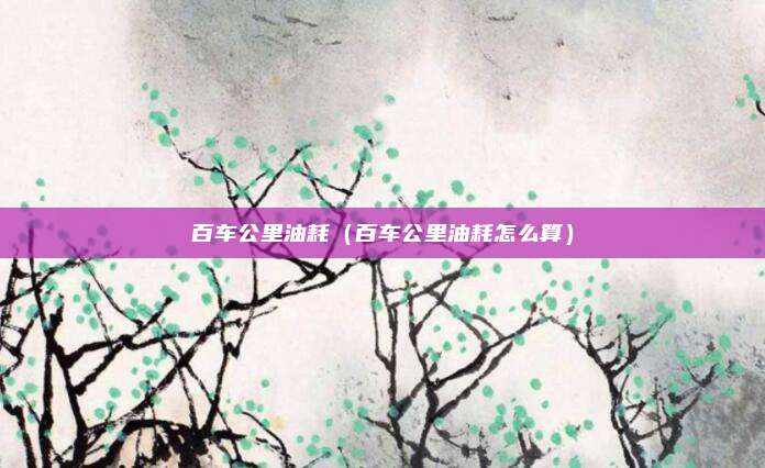 百车公里油耗(百车公里油耗怎么算)
