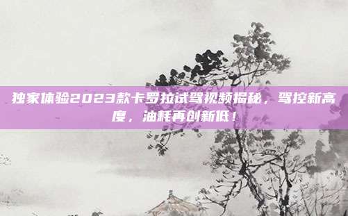 独家体验2023款卡罗拉试驾视频揭秘,驾控新高度,油耗再创新低!