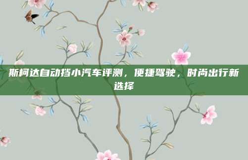 斯柯达自动挡小汽车评测,便捷驾驶,时尚出行新选择