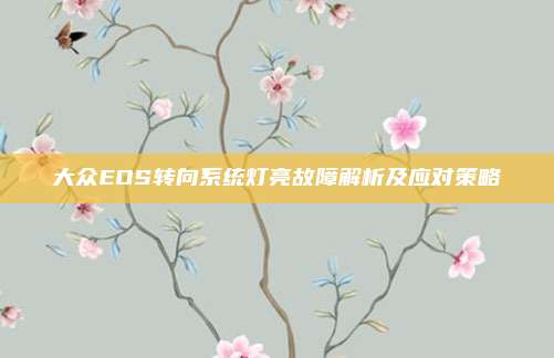 大众EOS转向系统灯亮故障解析及应对策略