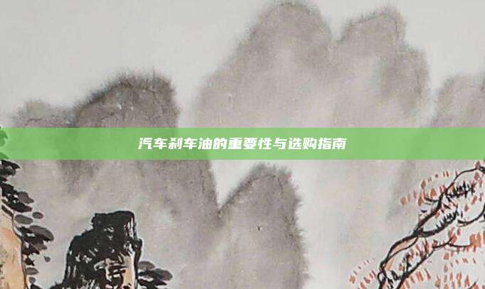 汽车刹车油的重要性与选购指南