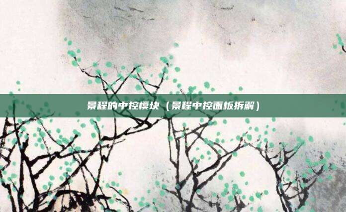 景程的中控模块（景程中控面板拆解）
