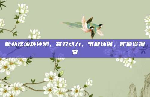 新劲炫油耗评测,高效动力,节能环保,你值得拥有