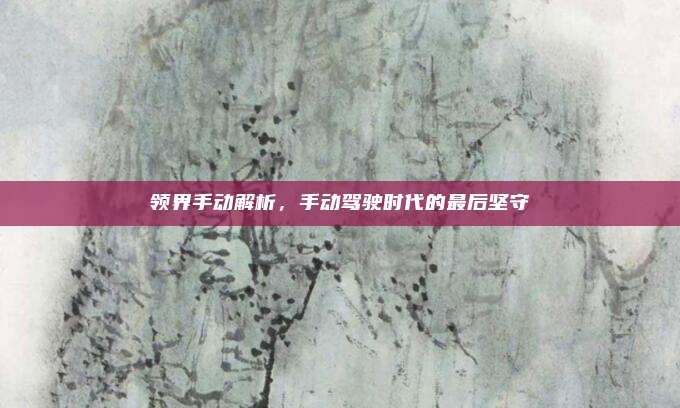 领界手动解析,手动驾驶时代的最后坚守