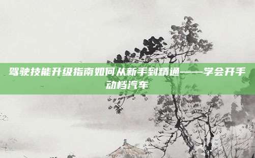 驾驶技能升级指南如何从新手到精通——学会开手动档汽车