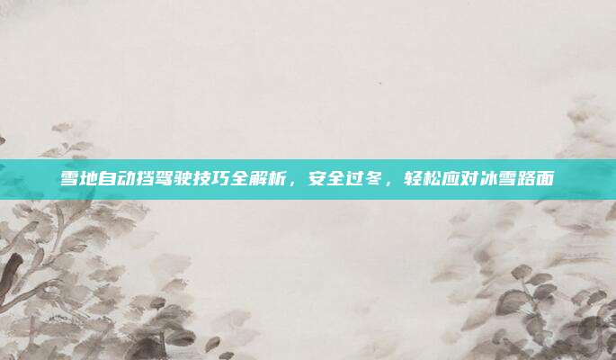 雪地自动挡驾驶技巧全解析,安全过冬,轻松应对冰雪路面