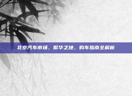 北京汽车市场,繁华之地,购车指南全解析