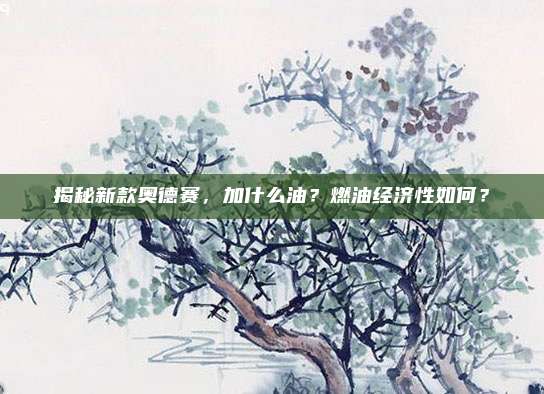 揭秘新款奥德赛,加什么油?燃油经济性如何?