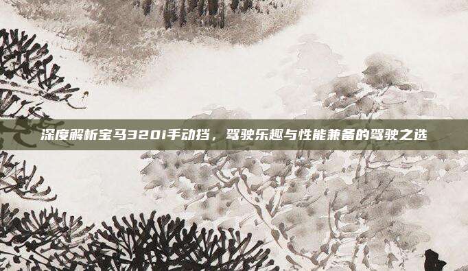 深度解析宝马320i手动挡,驾驶乐趣与性能兼备的驾驶之选