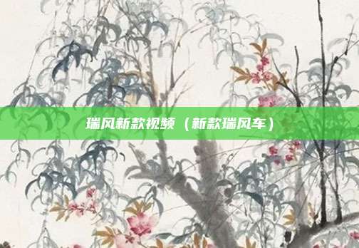 瑞风新款视频（新款瑞风车）
