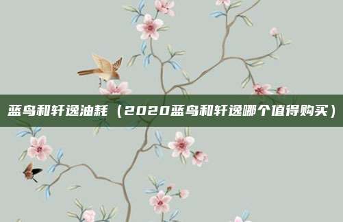蓝鸟和轩逸油耗（2020蓝鸟和轩逸哪个值得购买）
