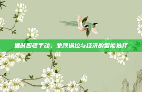 适时四驱手动,兼顾操控与经济的智能选择