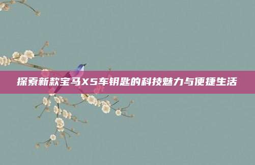 探索新款宝马X5车钥匙的科技魅力与便捷生活