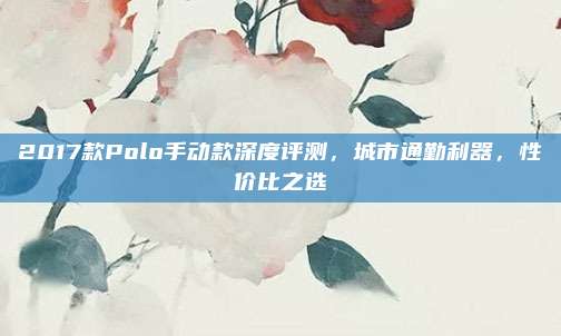 2017款Polo手动款深度评测，城市通勤利器，性价比之选