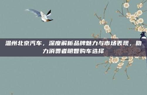 温州北京汽车,深度解析品牌魅力与市场表现,助力消费者明智购车选择