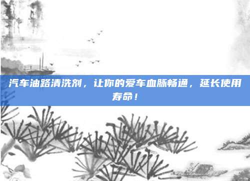 汽车油路清洗剂,让你的爱车血脉畅通,延长使用寿命!