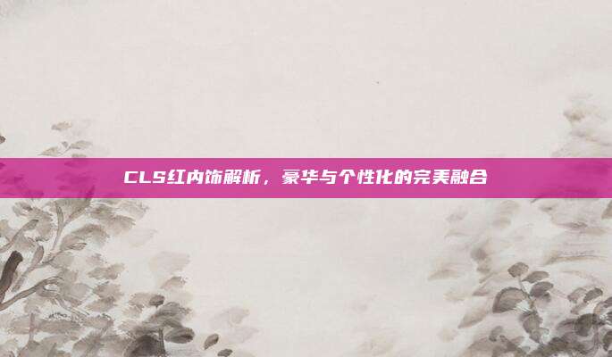 CLS红内饰解析,豪华与个性化的完美融合