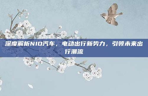 深度解析NIO汽车,电动出行新势力,引领未来出行潮流