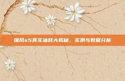 瑞风s5真实油耗大揭秘,实测与数据分析