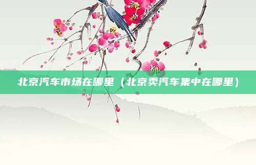 北京汽车市场在哪里（北京卖汽车集中在哪里）