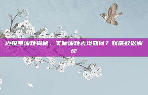 迈锐宝油耗揭秘,实际油耗表现如何?权威数据解读