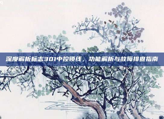 深度解析标志301中控锁线,功能解析与故障排查指南
