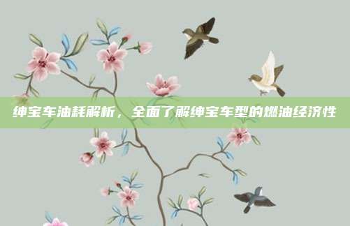 绅宝车油耗解析,全面了解绅宝车型的燃油经济性