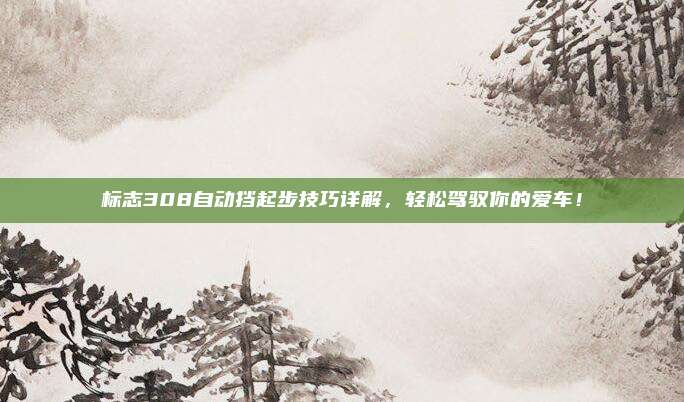 标志308自动挡起步技巧详解,轻松驾驭你的爱车!
