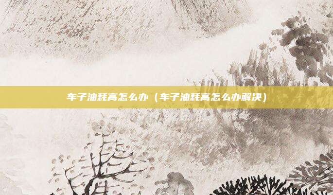 车子油耗高怎么办(车子油耗高怎么办解决)
