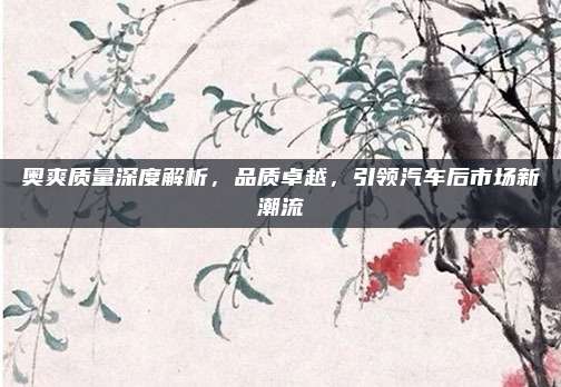 奥爽质量深度解析,品质卓越,引领汽车后市场新潮流