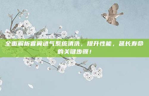 全面解析睿翼进气系统清洗,提升性能,延长寿命的关键步骤!