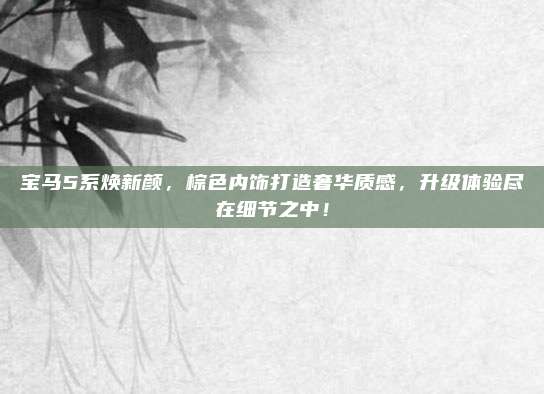 宝马5系焕新颜,棕色内饰打造奢华质感,升级体验尽在细节之中!