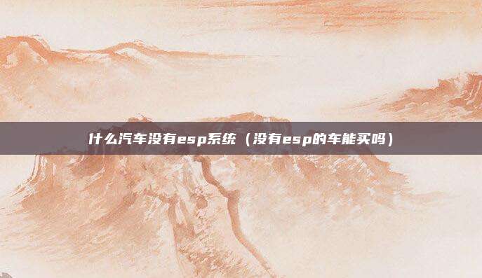 什么汽车没有esp系统（没有esp的车能买吗）