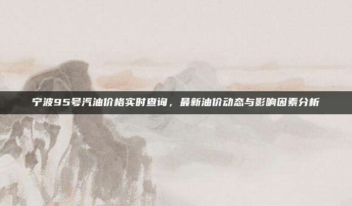 宁波95号汽油价格实时查询,最新油价动态与影响因素分析