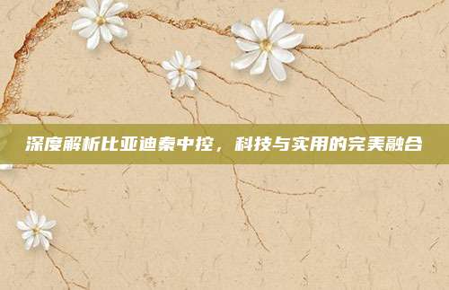 深度解析比亚迪秦中控,科技与实用的完美融合