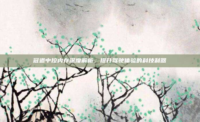 冠道中控内存深度解析,提升驾驶体验的科技利器