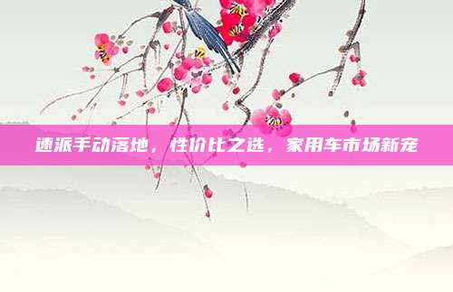 速派手动落地,性价比之选,家用车市场新宠