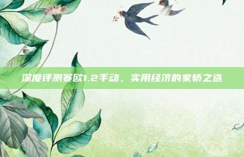深度评测赛欧1.2手动,实用经济的家轿之选