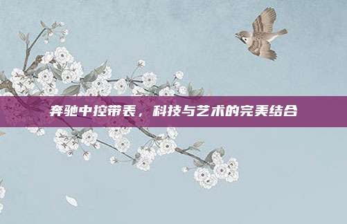 奔驰中控带表,科技与艺术的完美结合