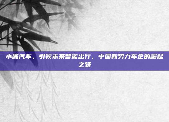 小鹏汽车,引领未来智能出行,中国新势力车企的崛起之路