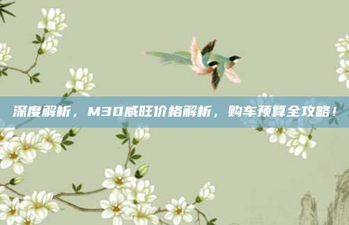 深度解析,M30威旺价格解析,购车预算全攻略!
